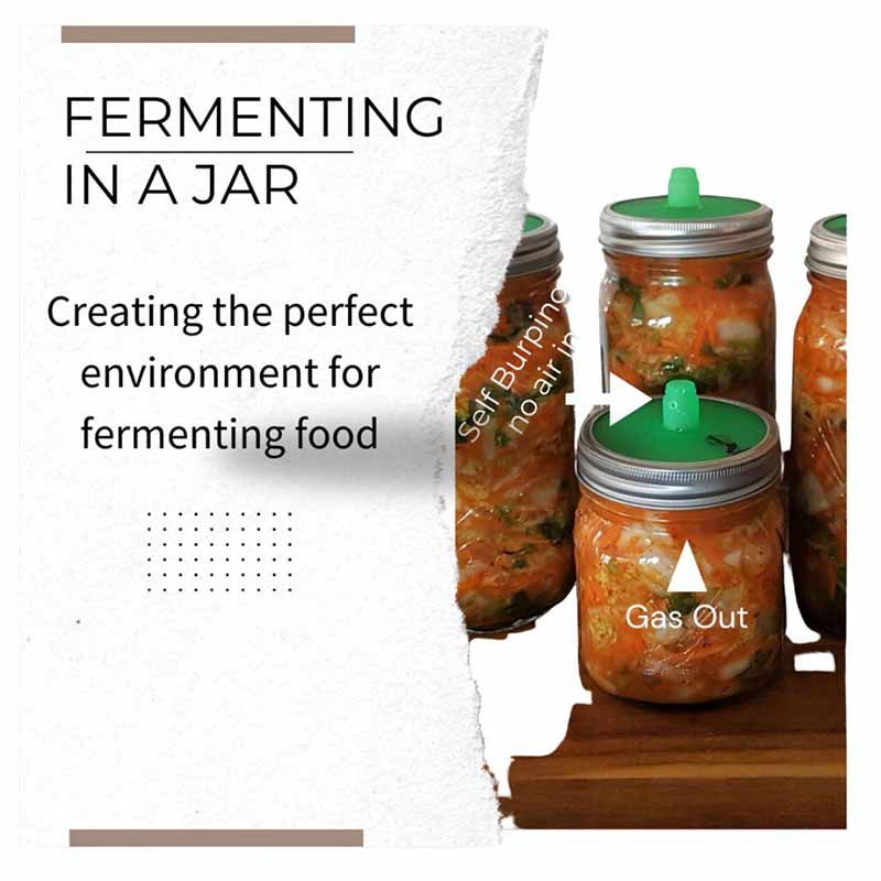 Fermentation Jar Kit 1 Litre