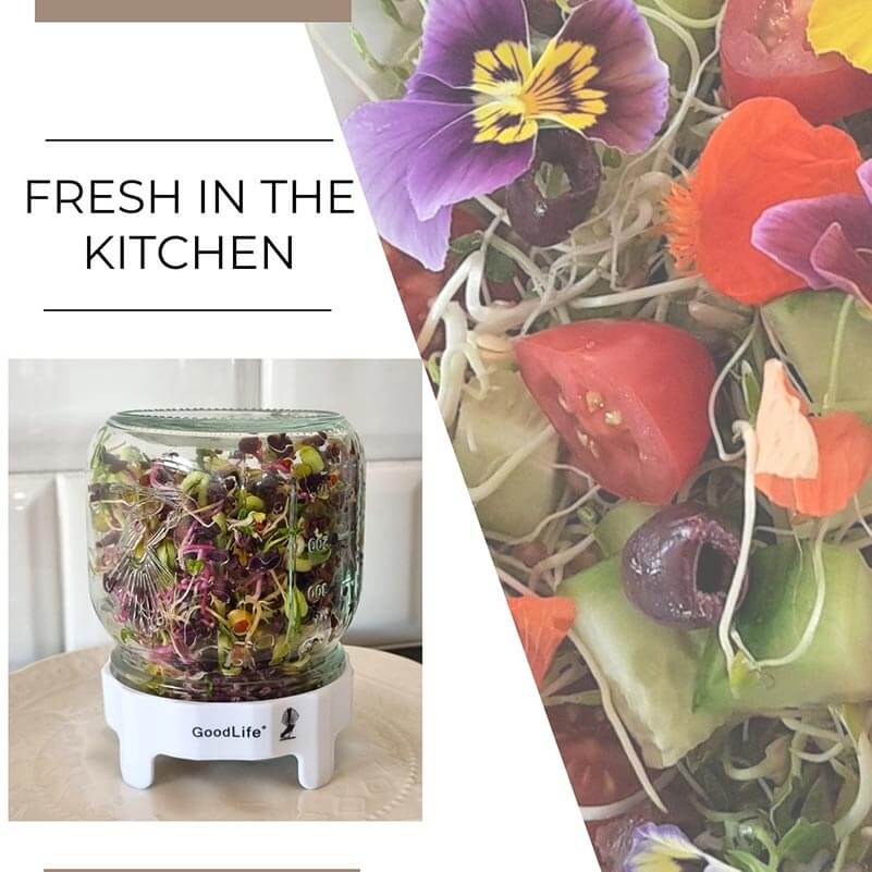 sprout & ferment