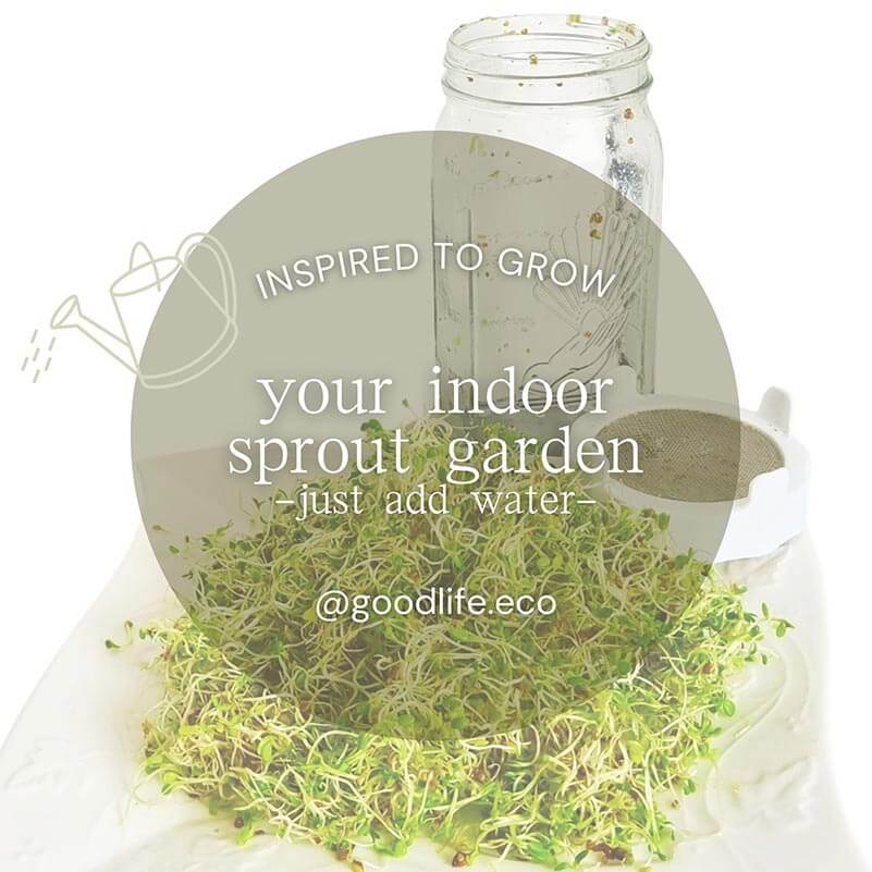 Sprouting Lid