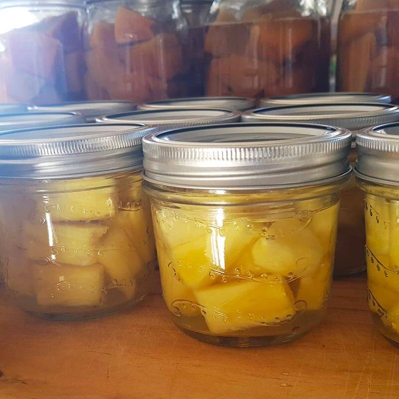250ml Tapered Preserving Jars with dome & band - sold in box lots